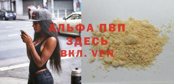 эйфоретик Касимов