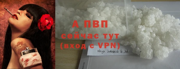 СК Карпинск