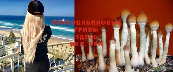 а пвп мука Кинешма
